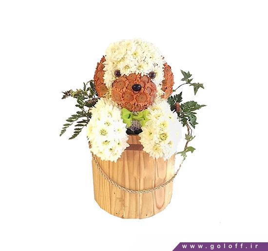 فروش گل اینترنتی - گل تولد نوزاد آیانو - Flower Toy | گل آف
